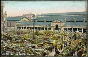 Markets Collection: Covent Garden Postcard