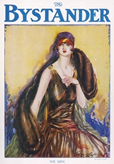 Neckline Collection: Front cover of The Bystander by Rick Elmes