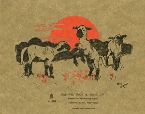 Farmyard Prints: Back cover design by Cecil Aldin, Farmyard Friends