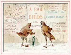 Castell Prints: Cover design, Christmas cards, A Bag of Birds