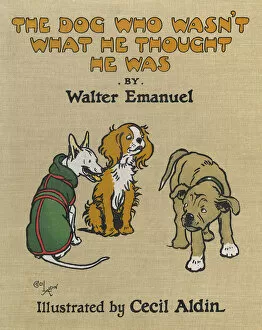 Cover design, The Dog Who Wasn t What He Thought He Was
