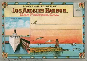 Gulls Prints: Cover design, Los Angeles Harbour, California, USA