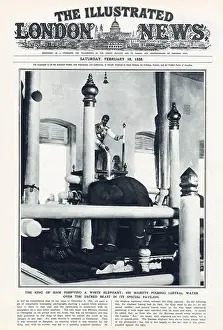 Thailand Prints: Front cover of The Illustrated London News showing the King of Siam purifying a white elephant