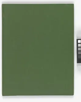 Back cover of Special New Designs of Brass and Iron Fenders
