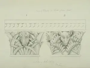Bovinae Prints: Cow and calf design