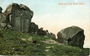 Cow & Calf Rock, Ilkley, Yorkshire