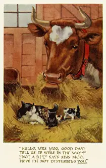 Cow, cat & kittens
