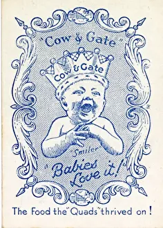 Cow & Gate Snap - back of card