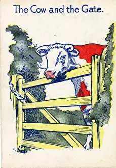 Snap Prints: Cow & Gate Snap - The Cow and the Gate