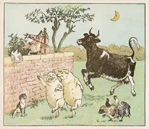 Cow Jumped Moon / Diddle