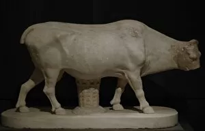 Museums Collection: Cow. Pentelic marble. Copy after a bronze statue by Myron (4