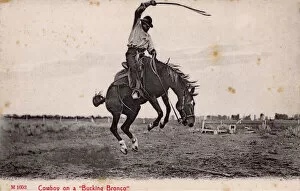 Rides Collection: Cowboy on a Bucking Bronco