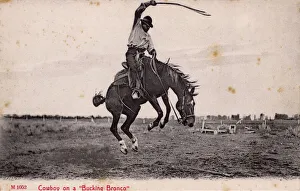 Ride Collection: Cowboy on a Bucking Bronco