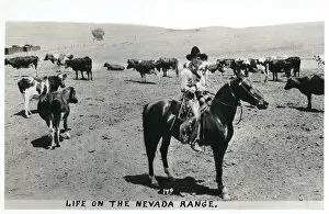Images Dated 10th October 2016: Cowboy on the Nevada Range, Nevada, USA