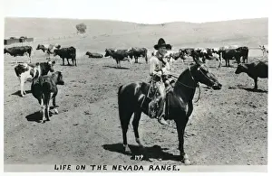 Cowboy on the Nevada Range, Nevada, USA