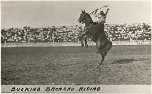Bucking Prints: Cowboy riding a bucking Broncho