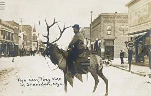 America Gallery: Cowboy riding elk, Sheridan, Wyoming, USA