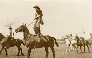 Cow Boy Prints: Cowboy riding on a horse, standing on its back