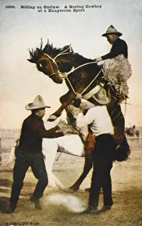 Stallion Prints: Cowboy Riding an outlaw