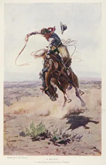 Versus Collection: Cowboy Versus Horse