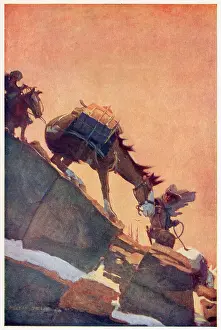 Cowboys Prints: Cowboys and their mountain ponies, travelling in the Rockies Date: 19th century