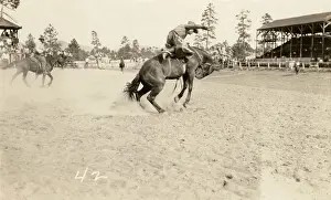 Cowboys Prints: Cowboys at a rodeo, America