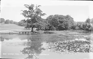 Benbow Prints: Cowdray Park, Benbow Pond