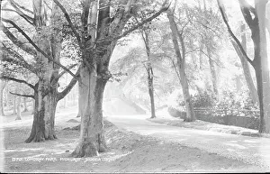 Cowdray Prints: Cowdray Park in Midhurst