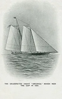 THE AMERICA WINS CUP