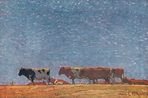 Cows On The Hill