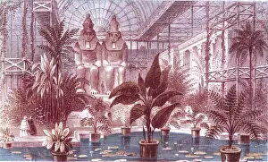 Transept Prints: Cp - Egyptian Figures