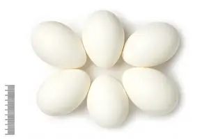 Eggshell Prints: Crab Plover