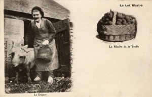 Farmer and Pig