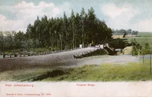 Johannesburg Prints: Craighall, Johannesburg, Transvaal, South Africa