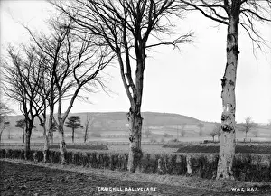 Craighill, Ballyclare