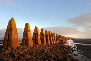 Dawn Prints: Cramond Island Causeway sea defence pylons at low tide