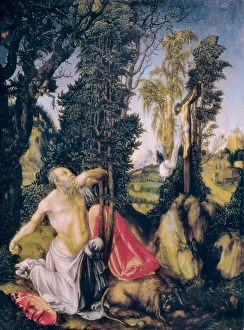 Cranach, Lucas, the Elder (1472-1553). The
