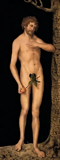Cranach, Lucas, the Elder (1472-1553). The