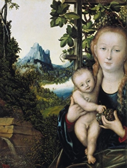 Cranach, Lucas, the Elder (1472-1553). The