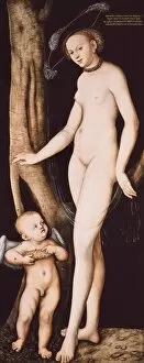 Articas Gallery: Cranach, Lucas, the Elder (1472-1553). Venus