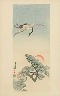 Crane flying over a pine tree with the setting sun - print