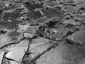 Crazy Paving