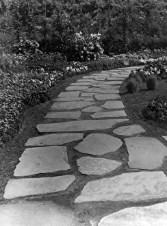 Images Dated 13th May 2011: Crazy Paving