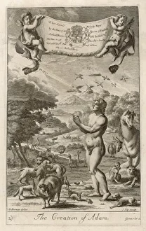 Adds Gallery: Creation of Adam