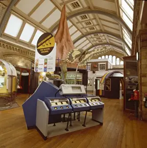Termite Prints: Creepy Crawlies exhibition
