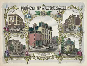 Crescite et multiplicamini