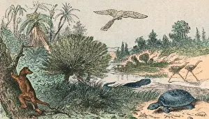 Cretaceous L scape