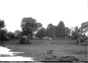 Stump Gallery: Crevenish Castle Co. Fermanagh