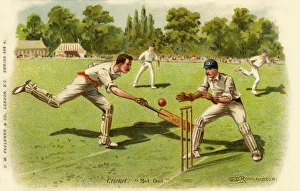 Cricket