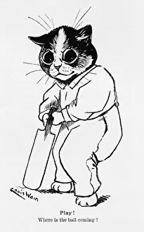 Cricket